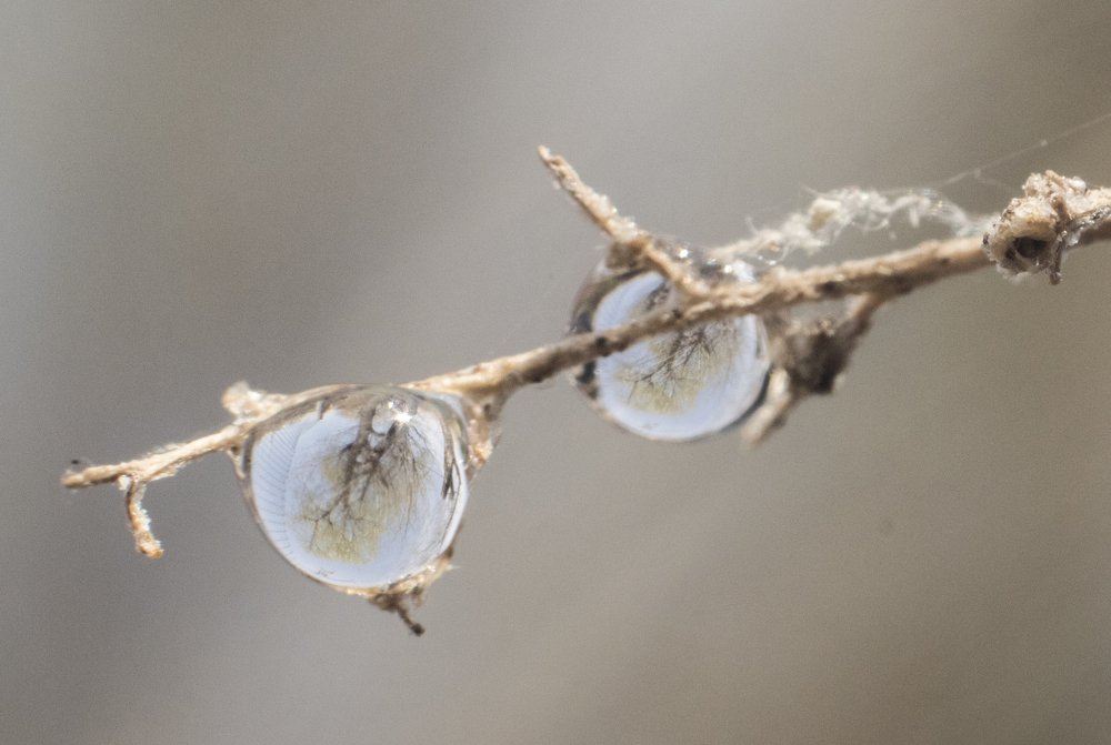 Photograph by Алексей Мосейко