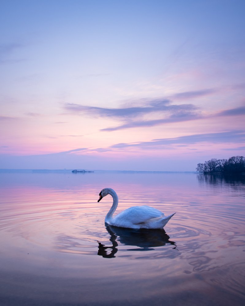 Фотография автора Андрей Барбиер