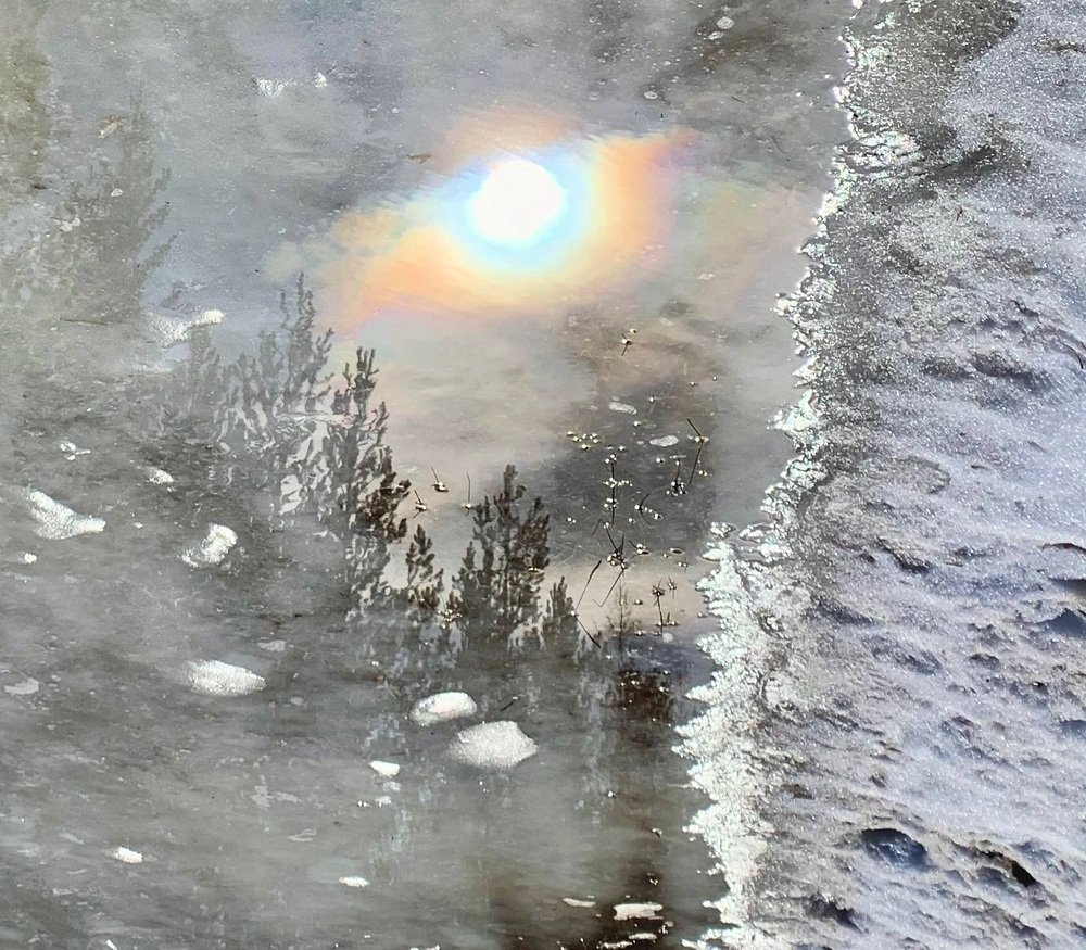 Photograph by Светлана Хохлова