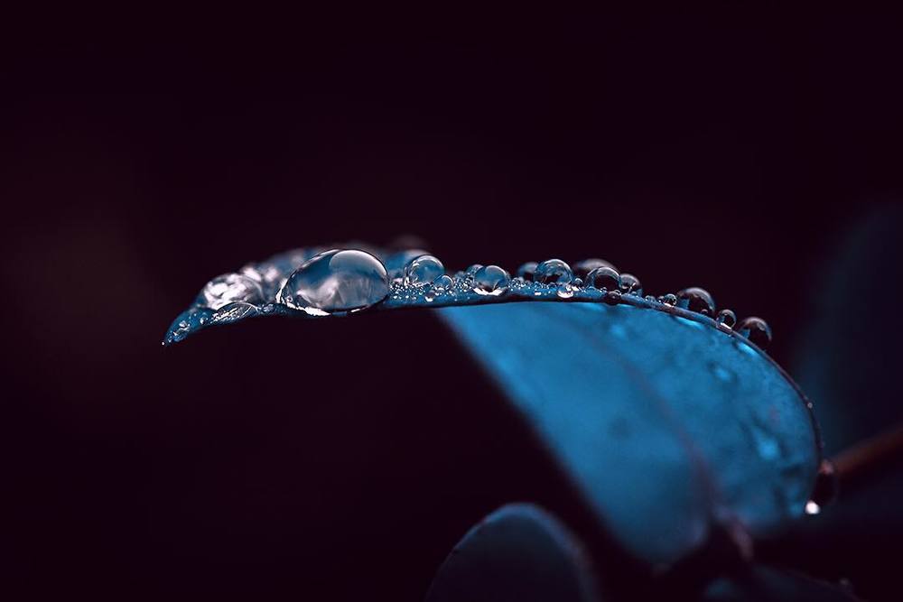 Photograph by Виктор