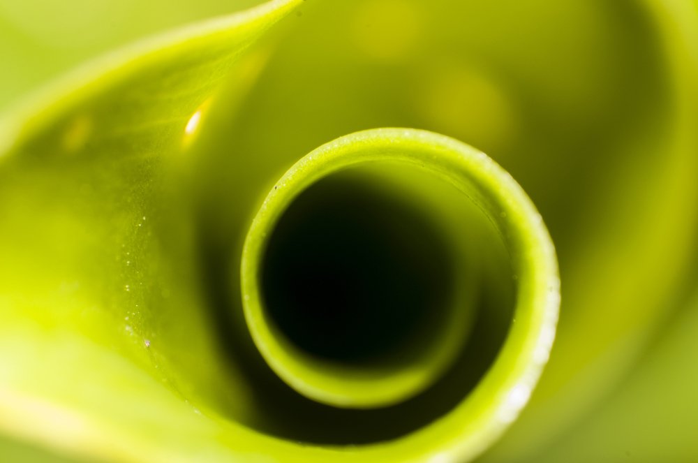 Photograph by Hector Cuestas Venegas