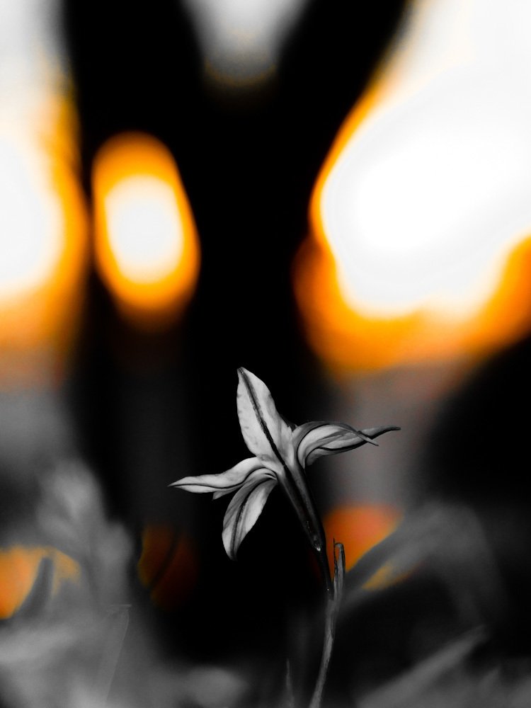 Photograph by Juan Ignacio Antunez Fernandez