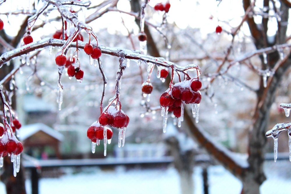 Photograph by Евгения Журавлёва