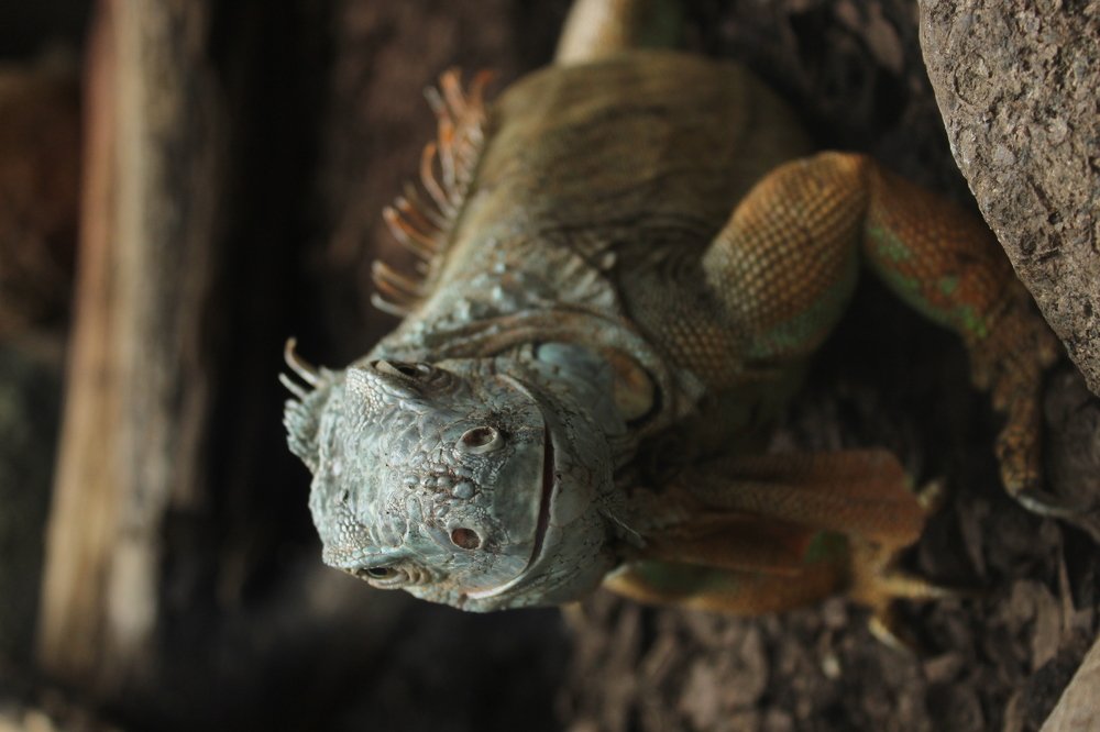 Photograph by Anna Lisovskaia