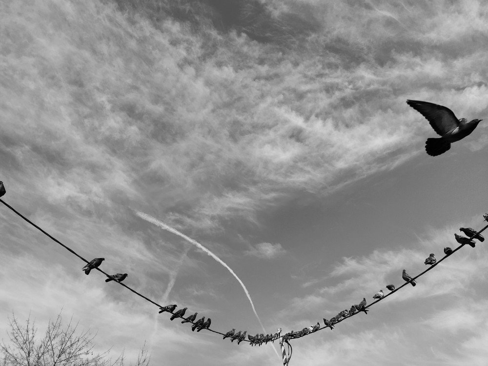 Photograph by Karina Yakovleva