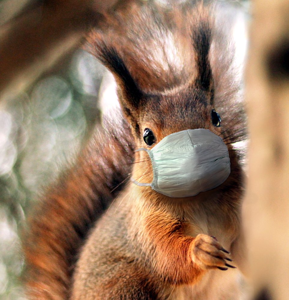 Photograph by Henrikas Mackevicius