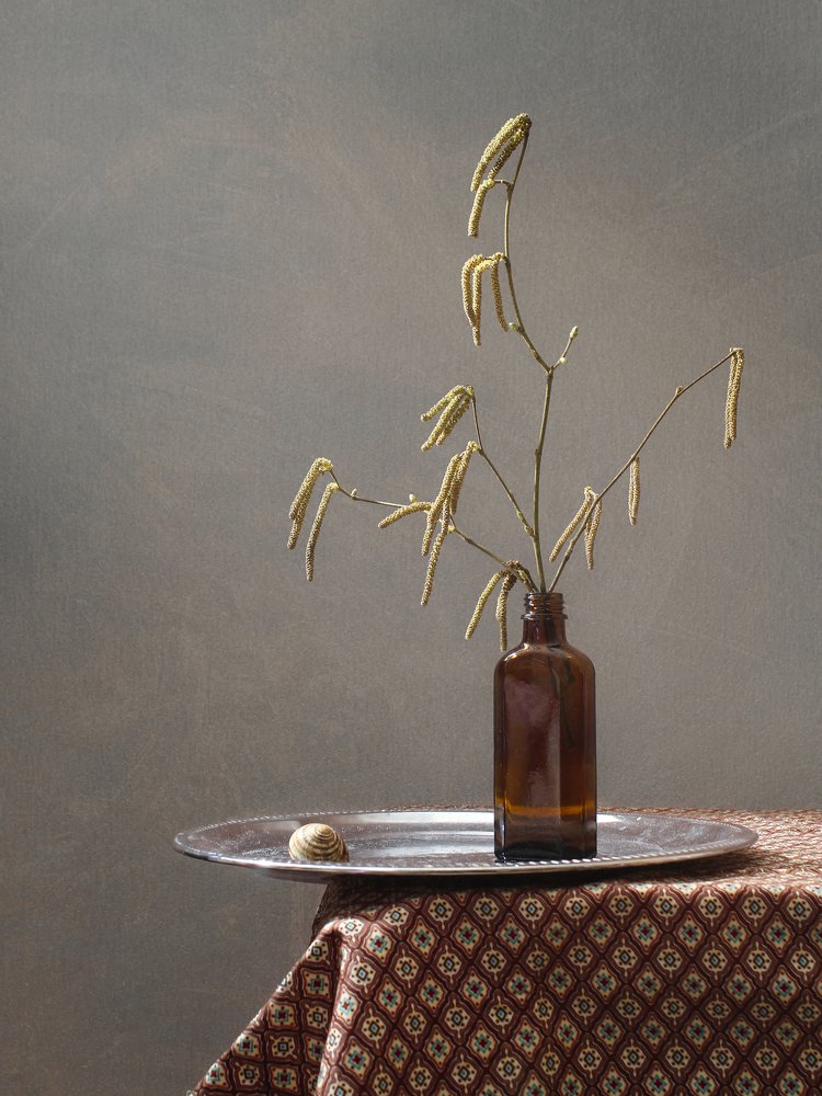 Натюрморт с берёзовыми серёжками