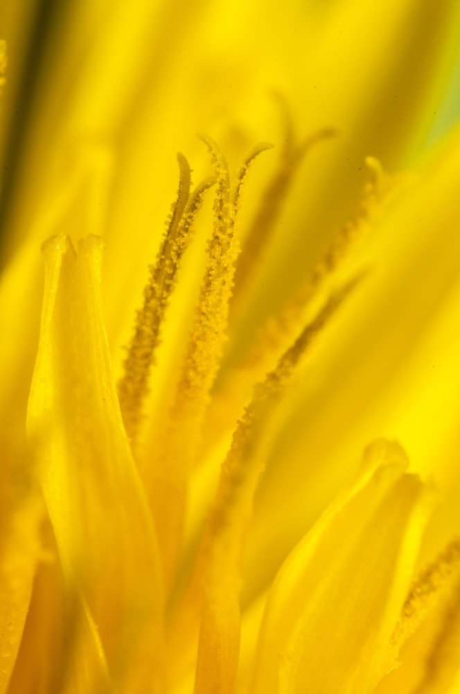 Photograph by Hector Cuestas Venegas