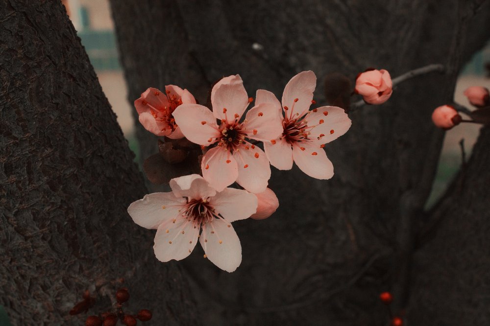 Photograph by Екатерина Красновская