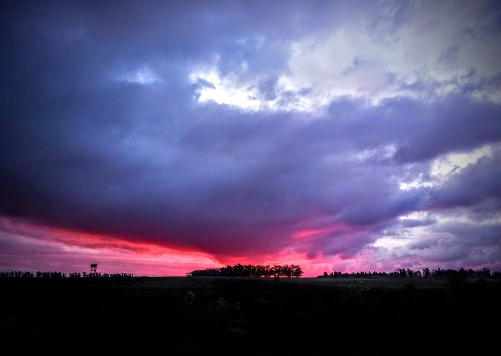 Photo #4495861