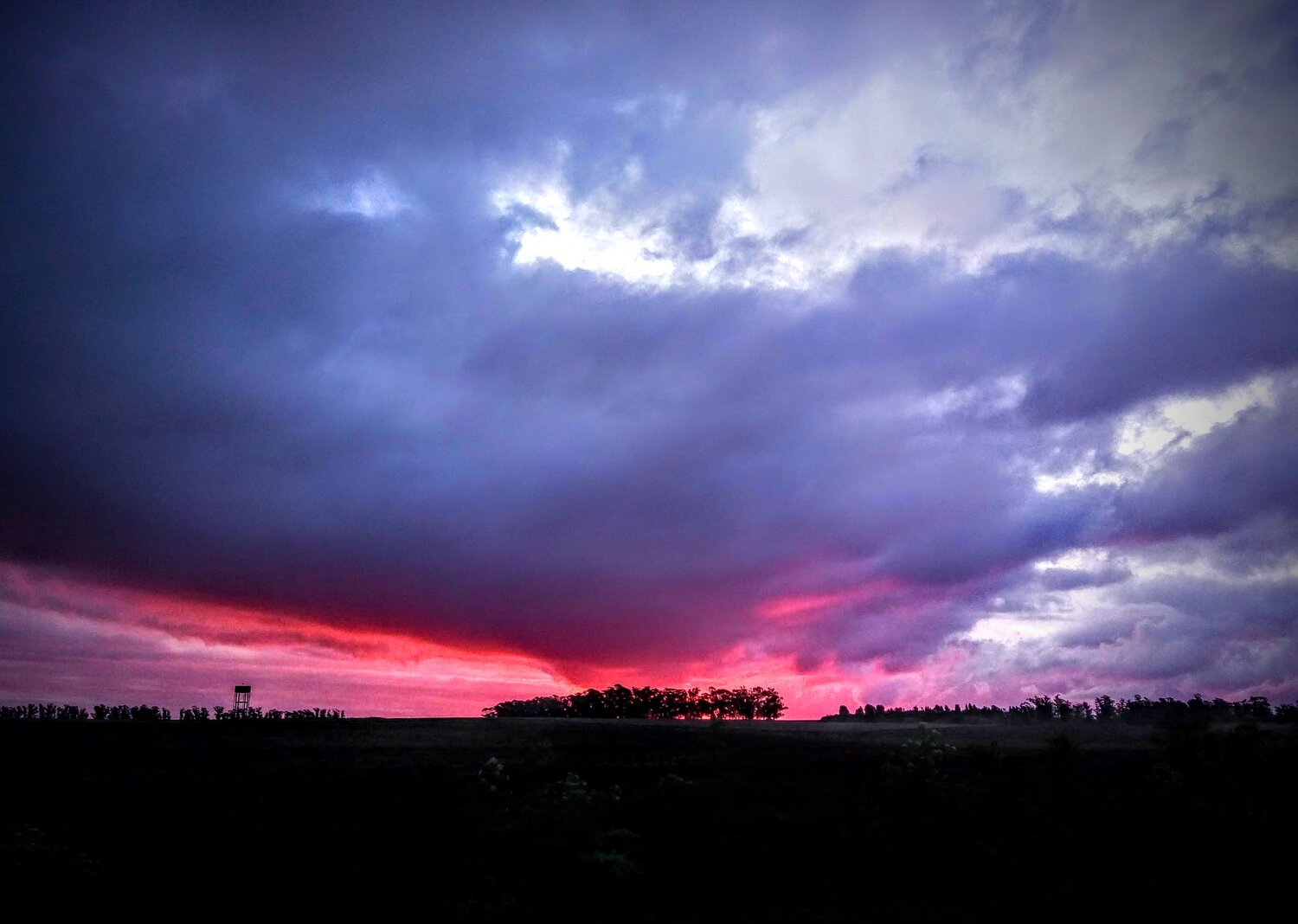 Photo #4495861