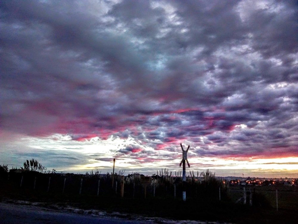 Photo #4495862