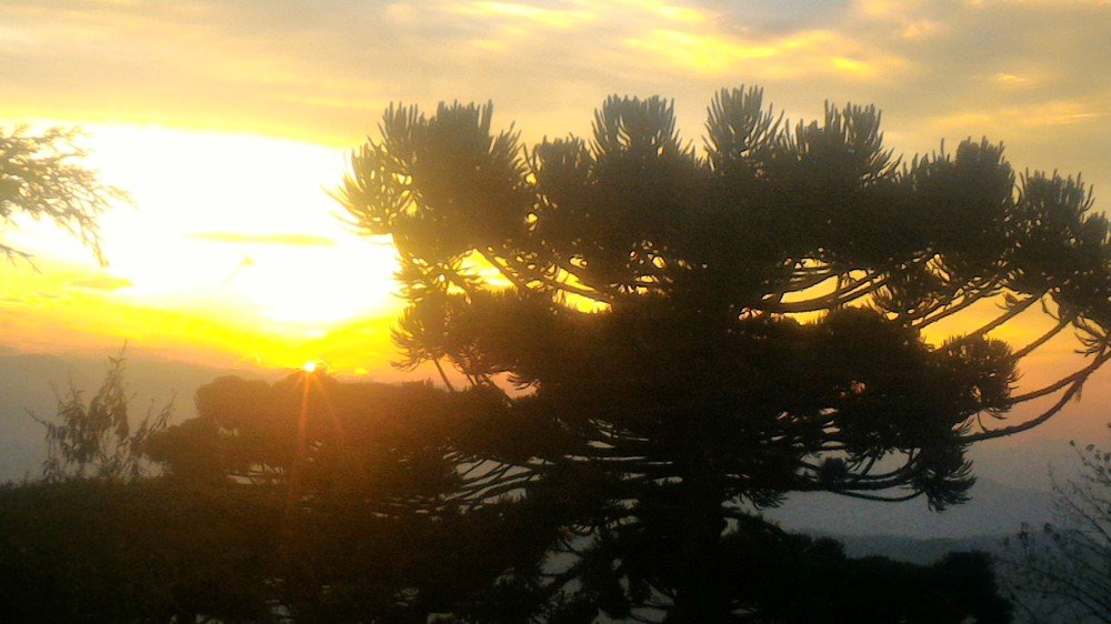 Photo #4495933