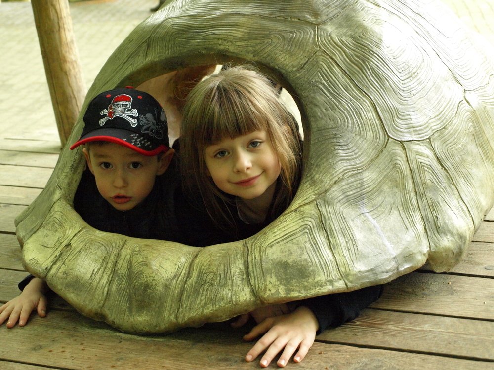 Photograph by Григорий Синицын