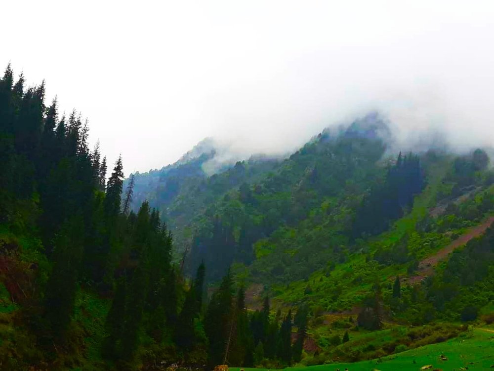 Photograph by Медина Bazarbaeva