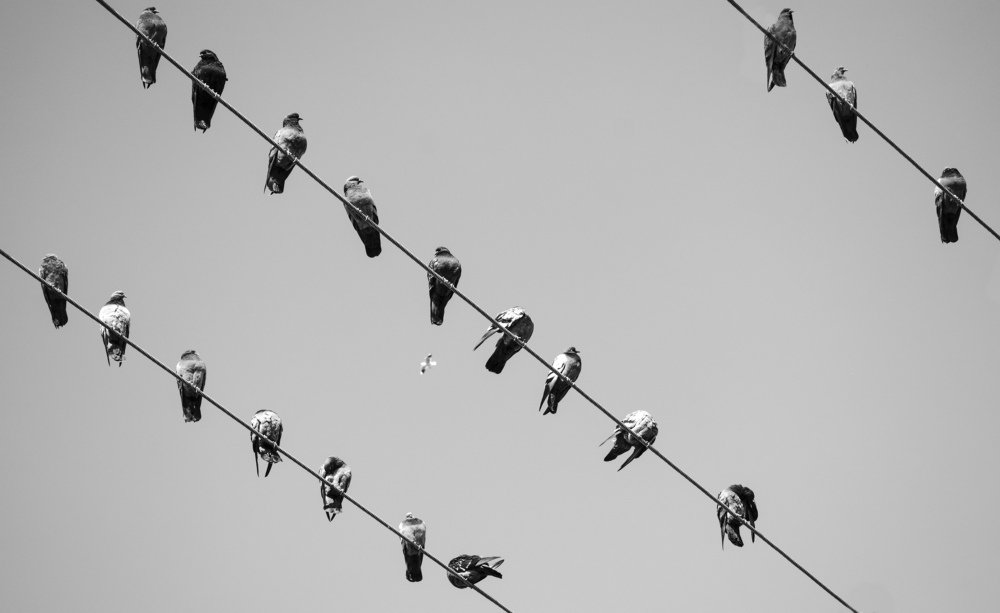 Photograph by Vida Khoshsirat