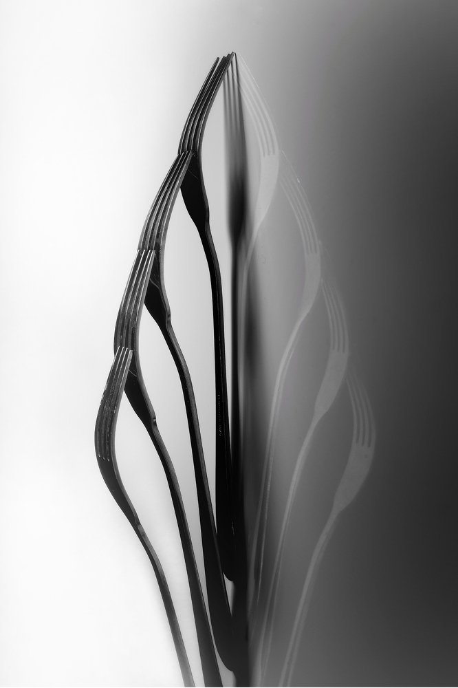 Photograph by Ionut Barbu