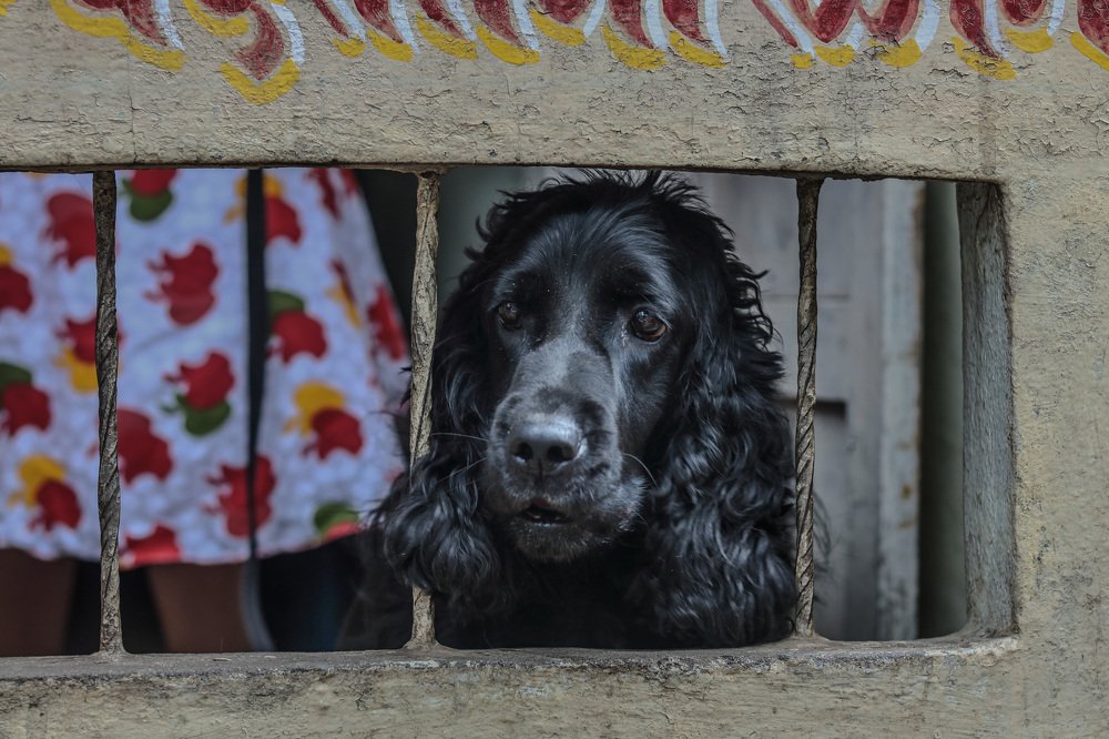 Photograph by Amar Chavan