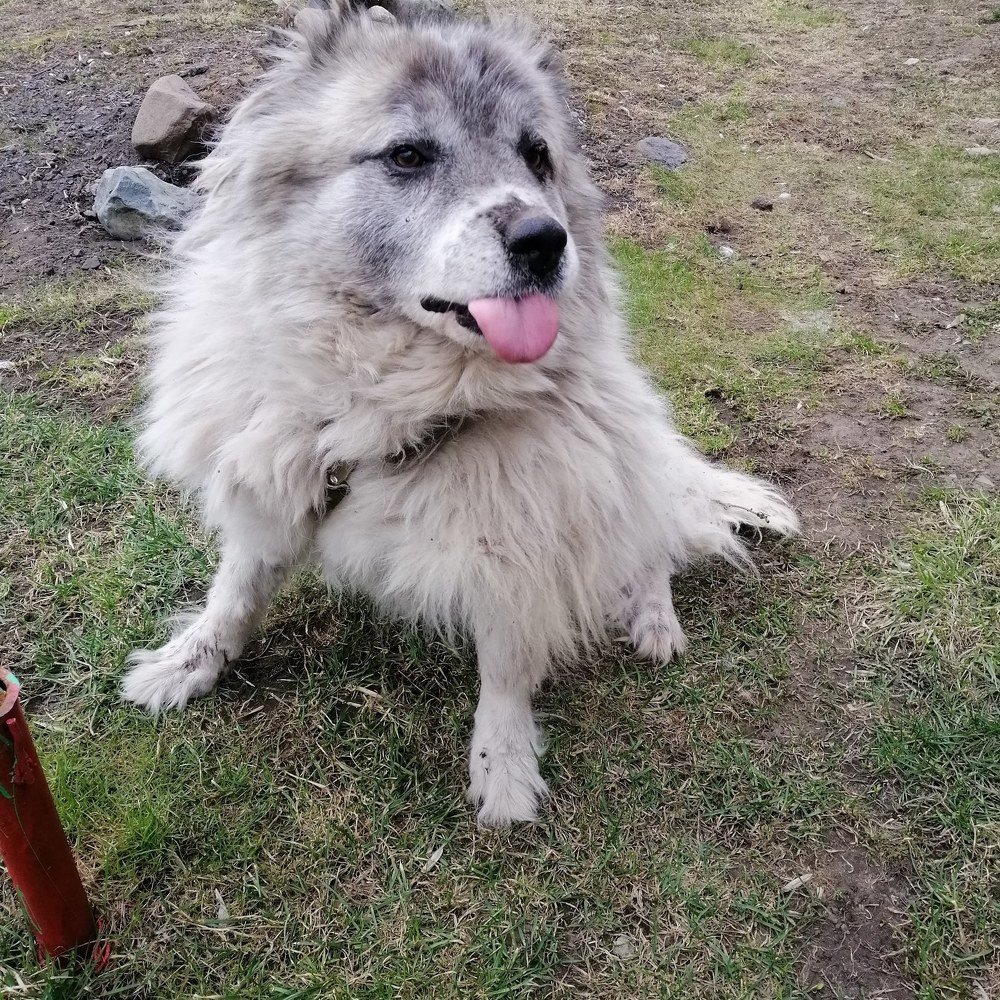 Photograph by Юлия Зеленева