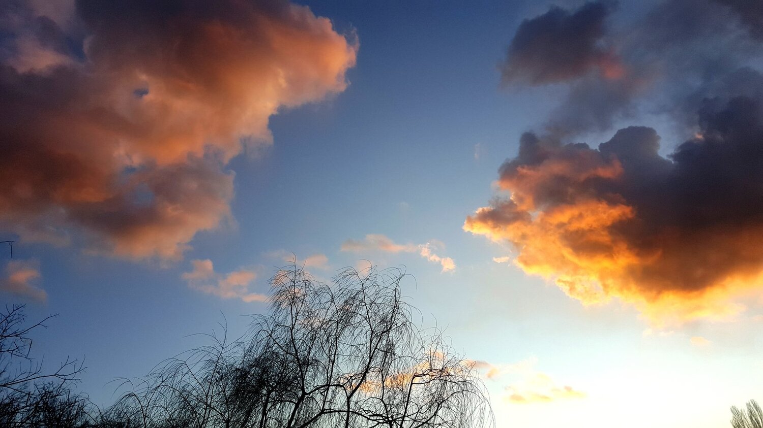 Photo #4496504