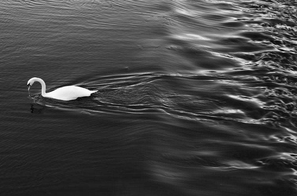 Photograph by Наталья Гаврилова