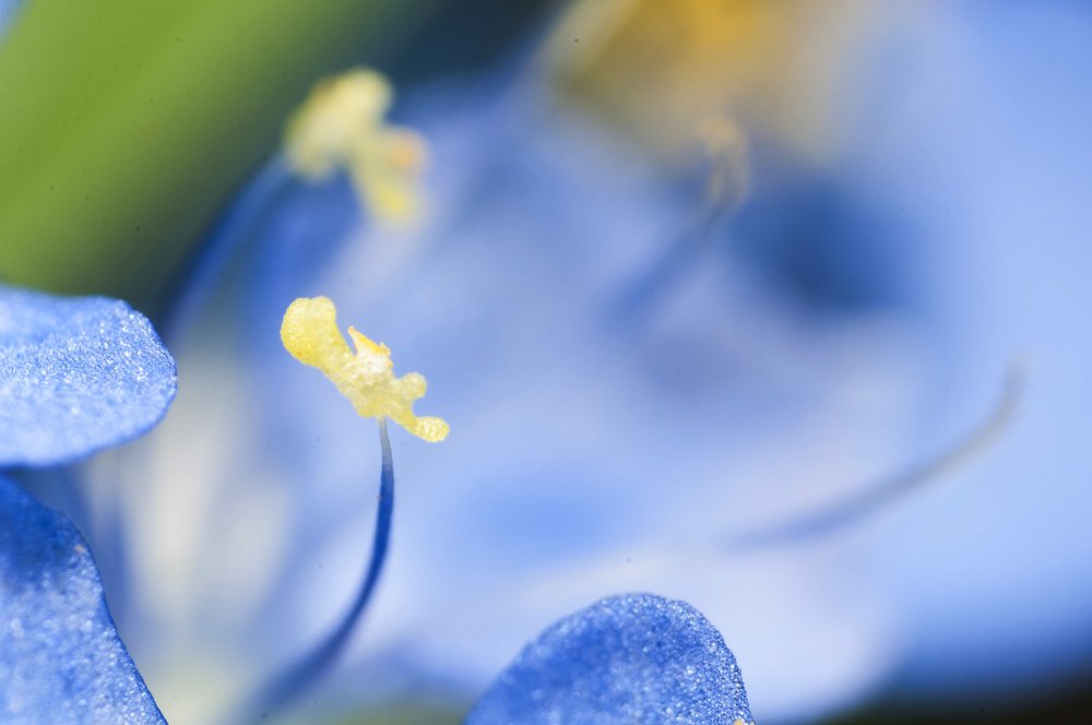 Photograph by Hector Cuestas Venegas