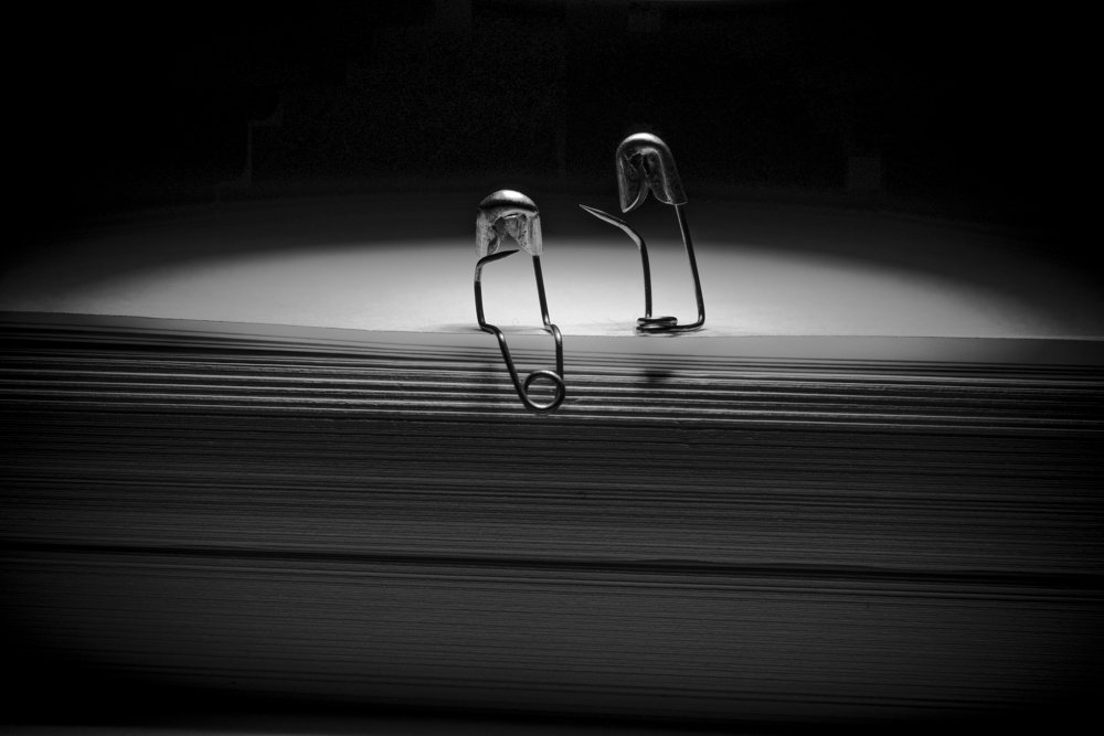 Фотография автора Алина