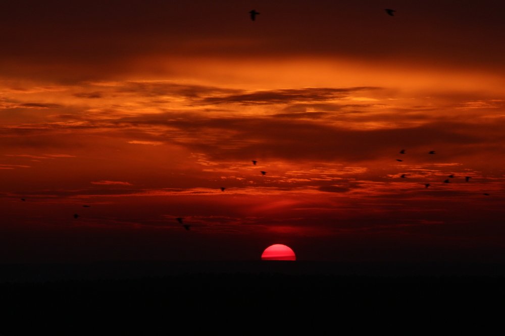 Photograph by Виталий