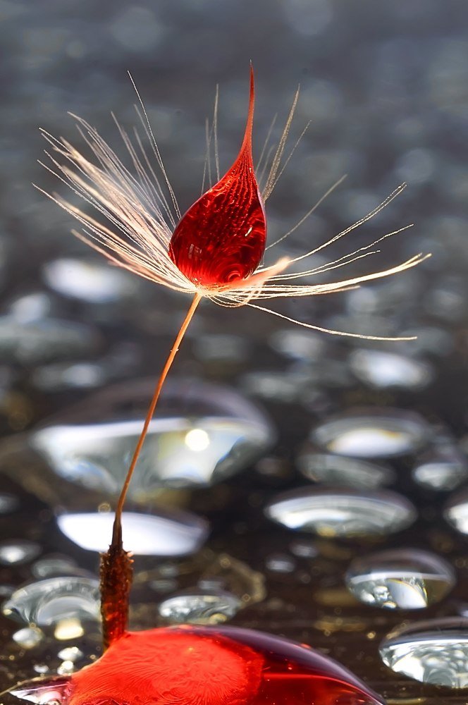 Photograph by Сергей Прокофьев