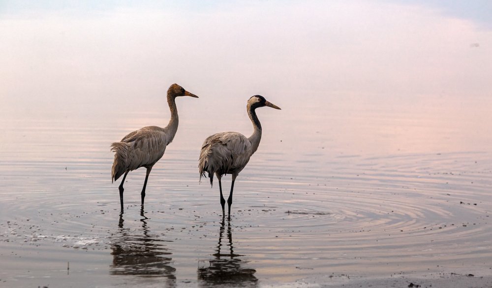 Фотография автора Сергей Середовой