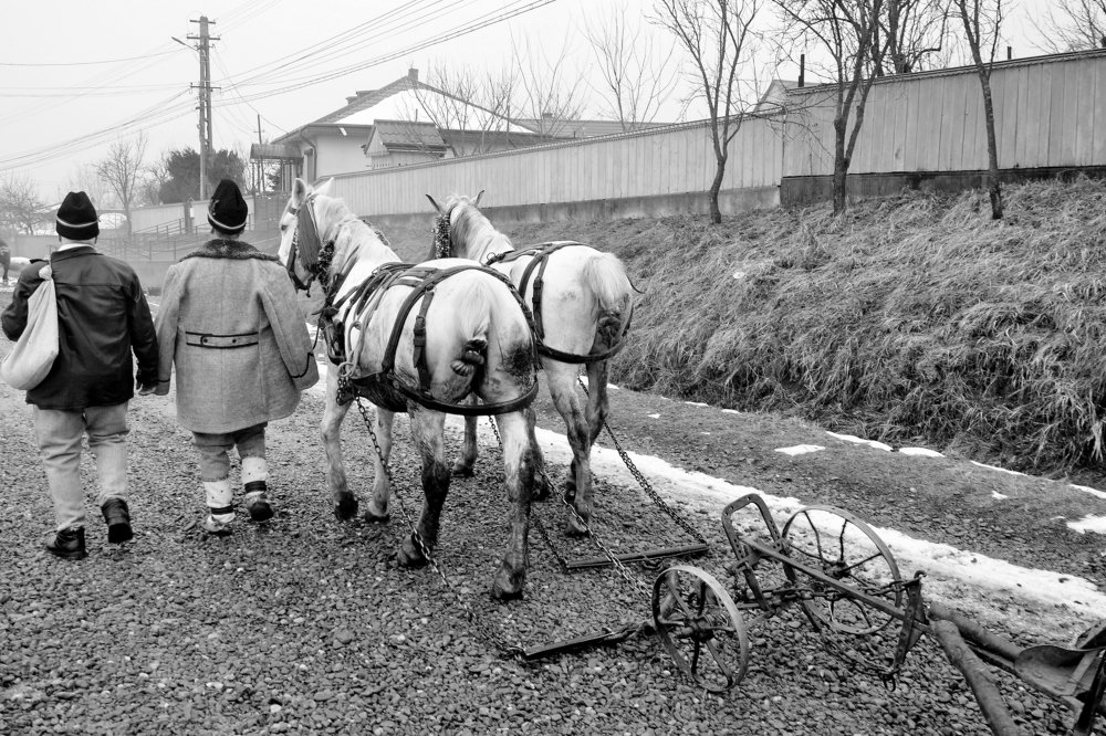 Photograph by Corduneanu Marius