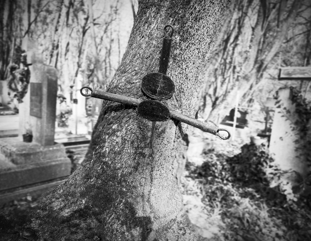 Последний путь,жизнь побеждает смерть.