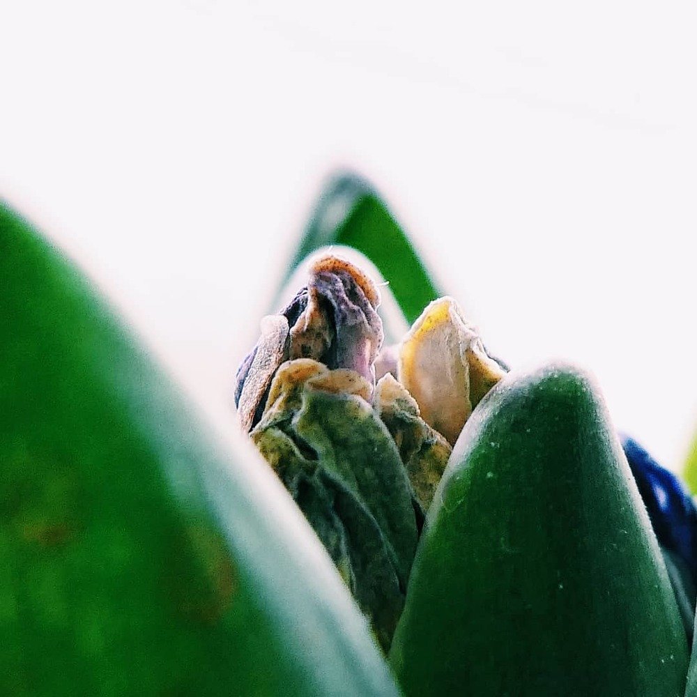 Photograph by Иван Вдовин