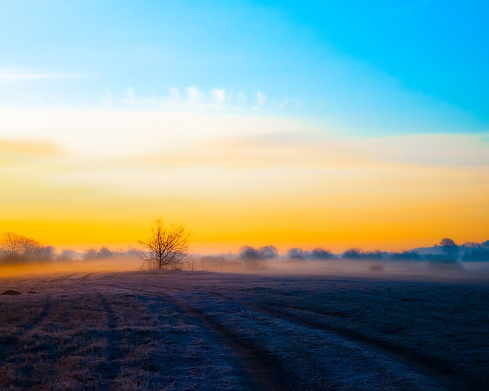 Photograph by Алексей Акулин