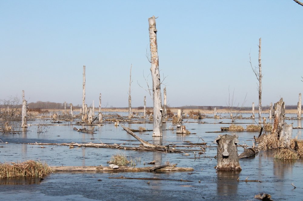 Photograph by Владимир Роговский