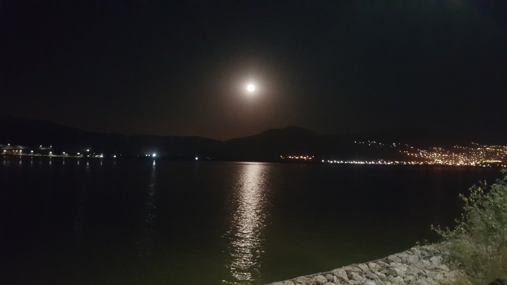 Photo #4497405