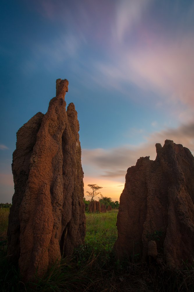 Giant Termite House (MUSAMUS).
