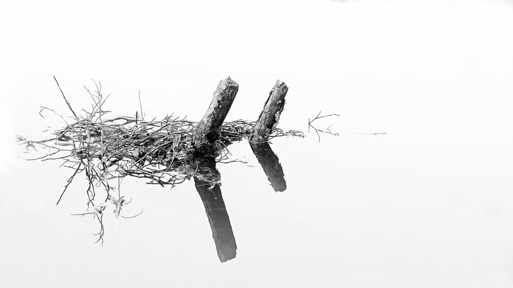 Photograph by  Albert J. Pinkl