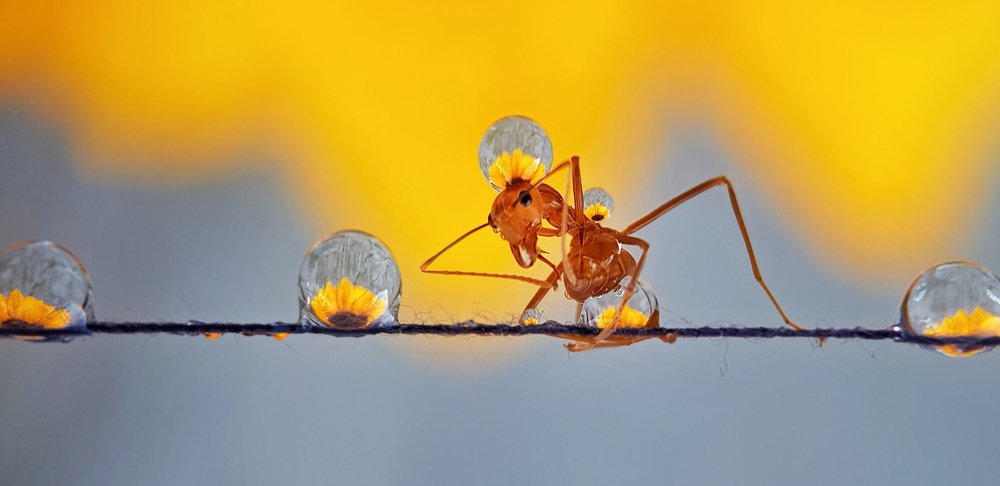 Фотография автора Analiza Daran De Guzman