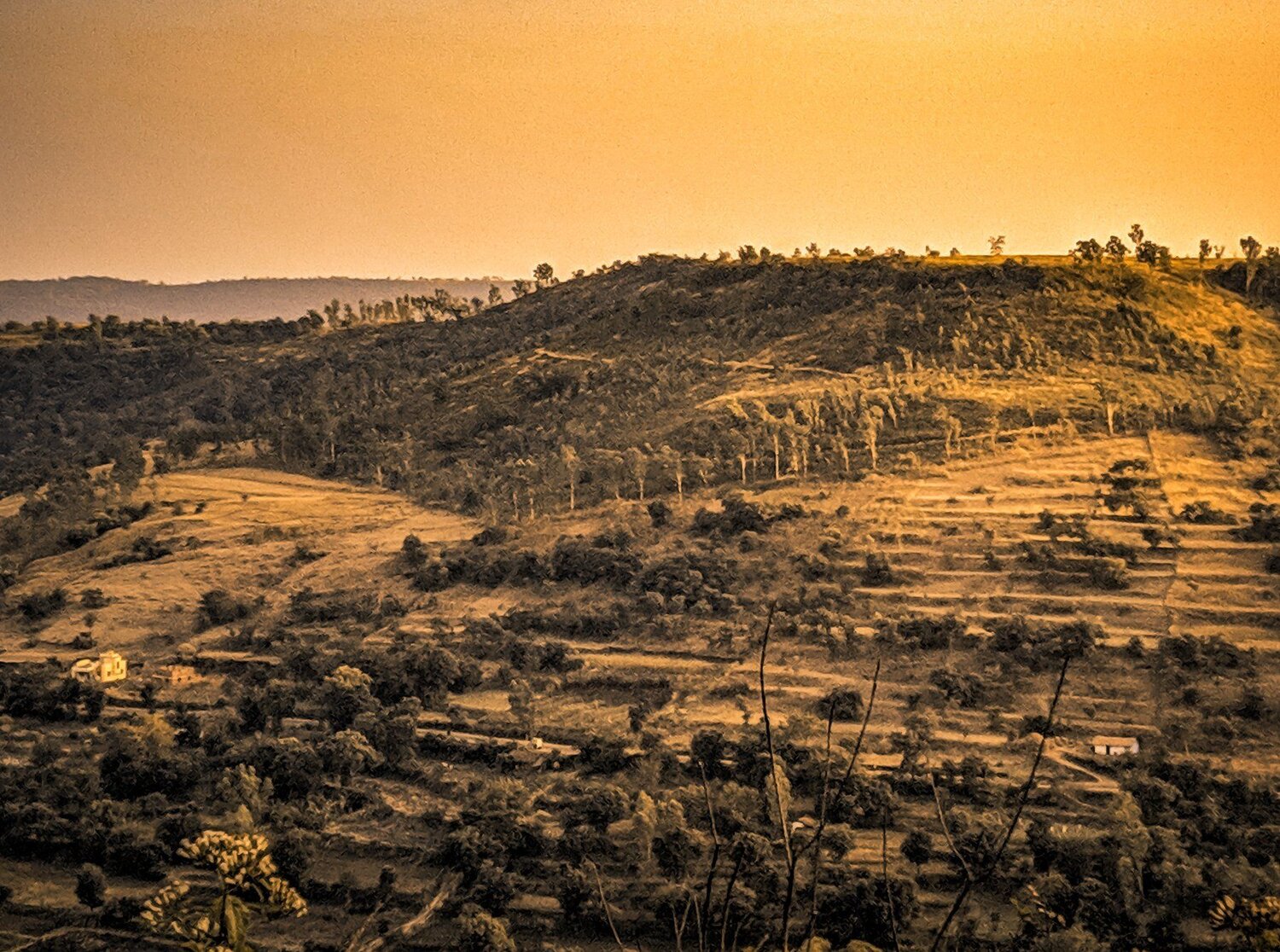 The Golden Mountain