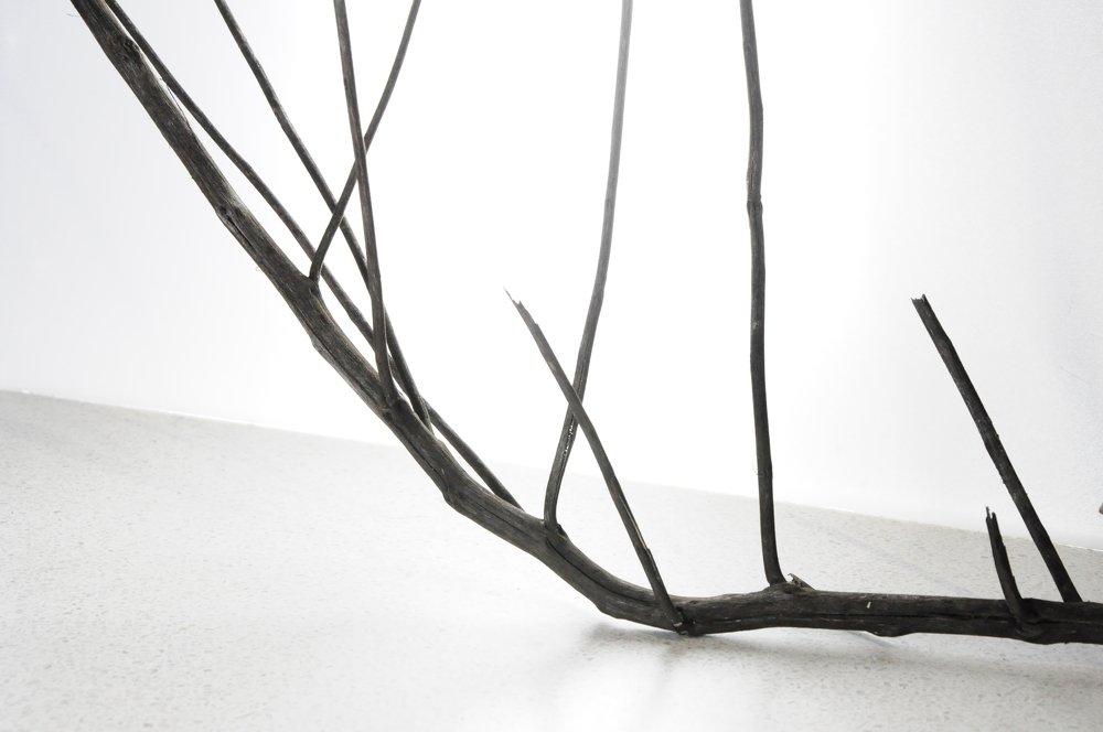 Photograph by Татьяна Маринич