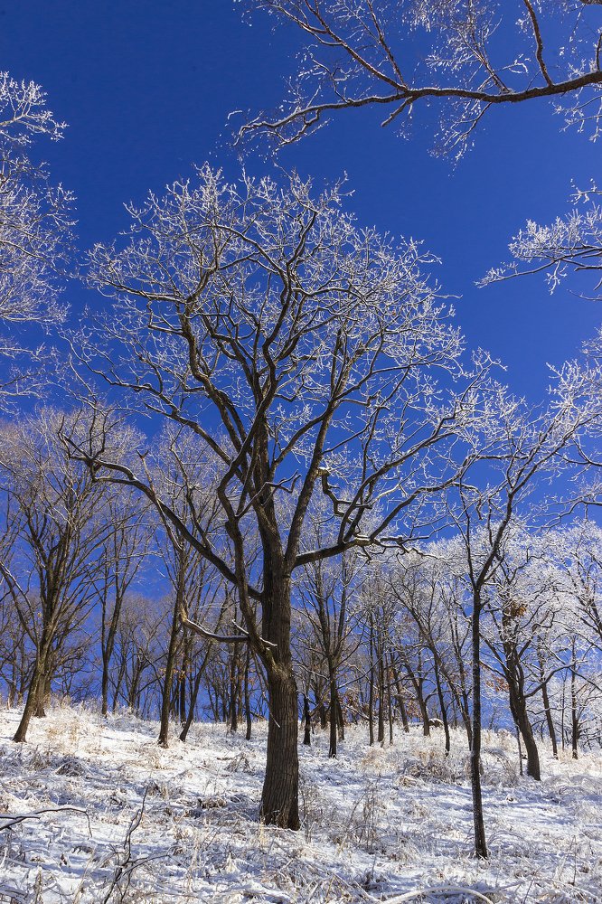 Photograph by Sergey Tsubanov