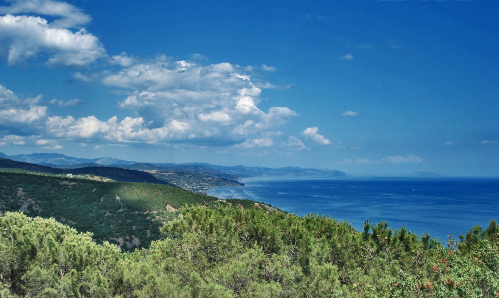 Photograph by Виталий Попов