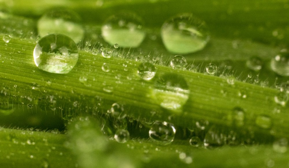 Photograph by Алексей Мосейко