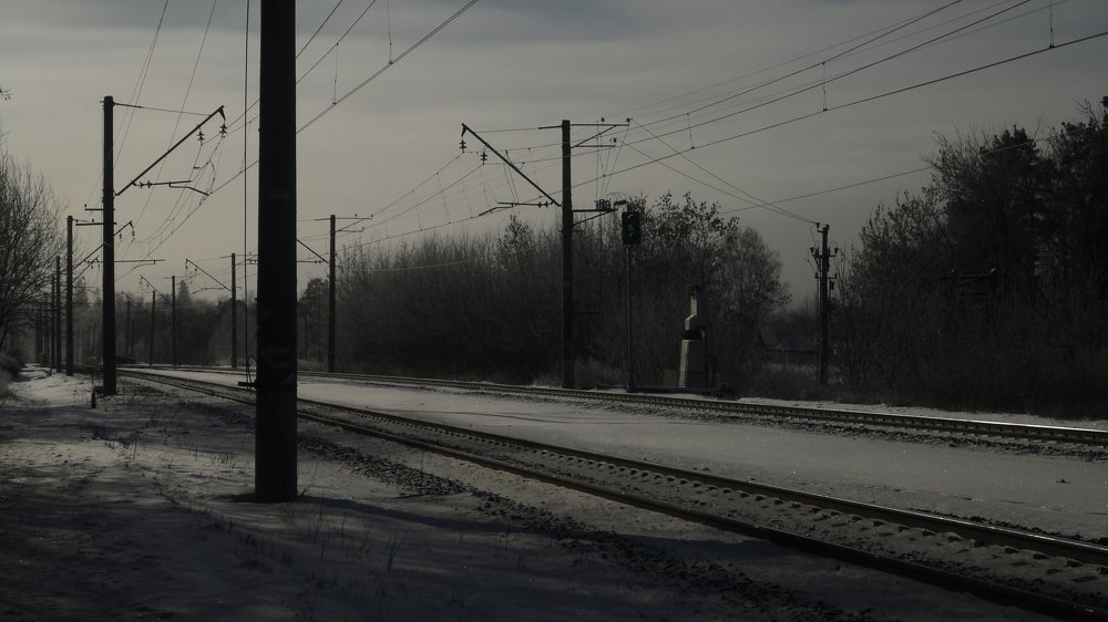 Photo #4498331