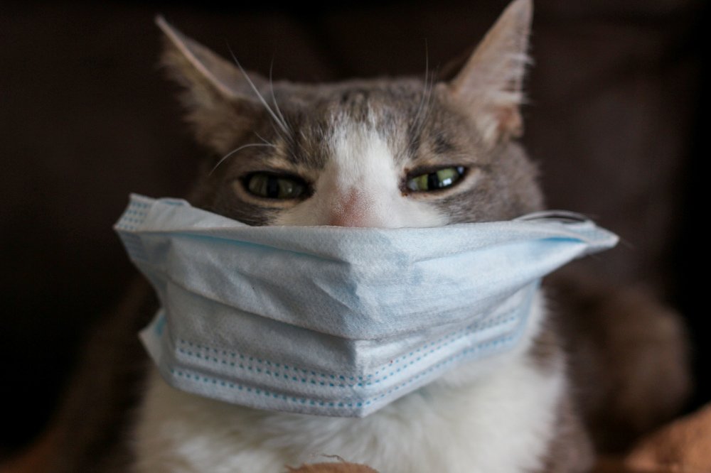 О-ответственность