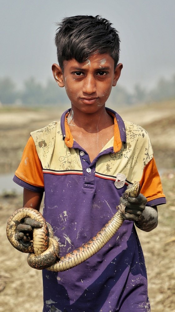 Photograph by Pronoy Chandra Day