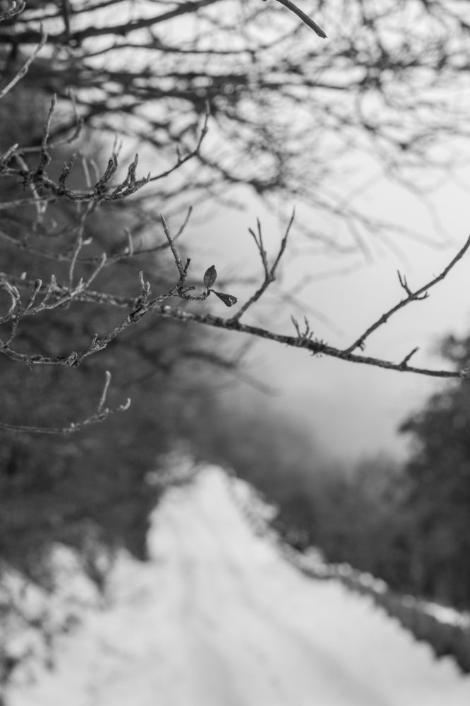 Photograph by Debraj Jana