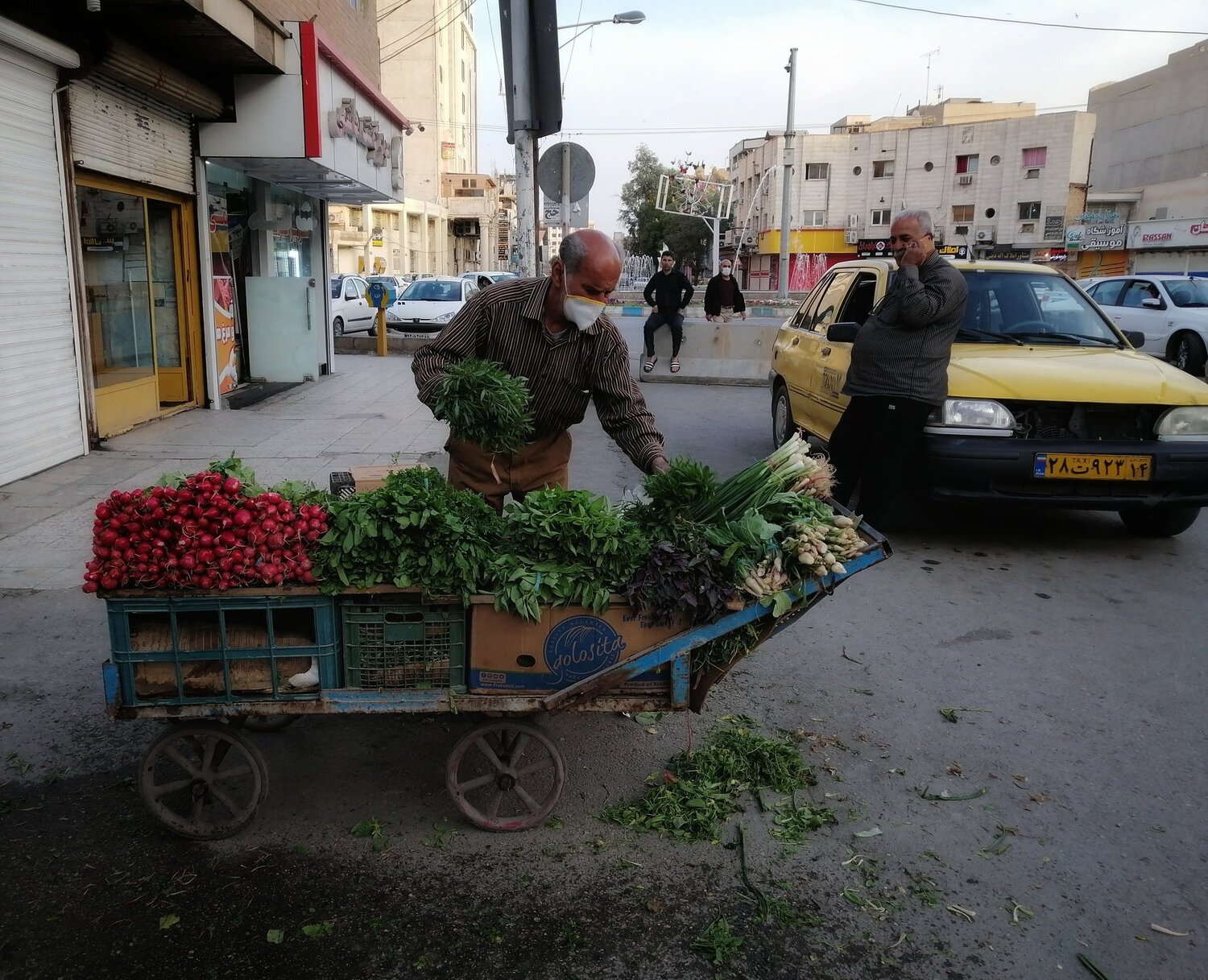 Photo #4498639