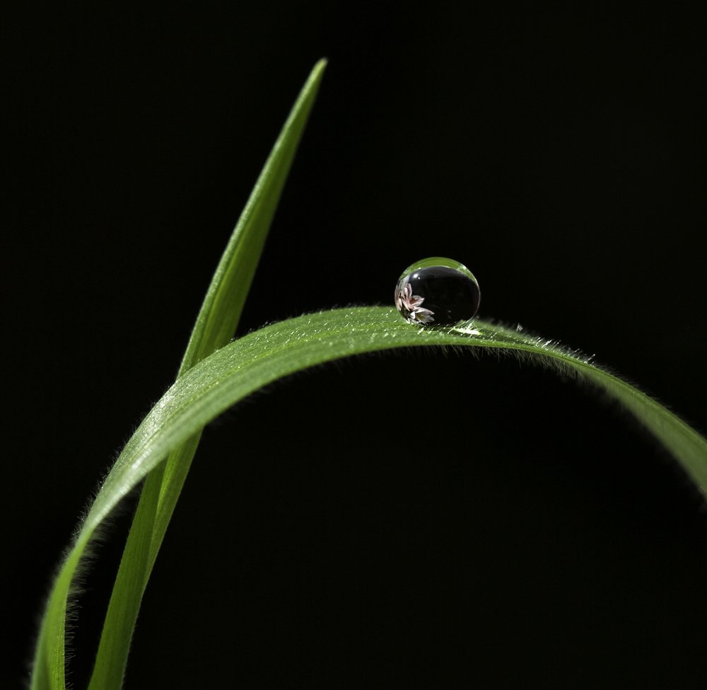 Фотография автора Анна Вигера